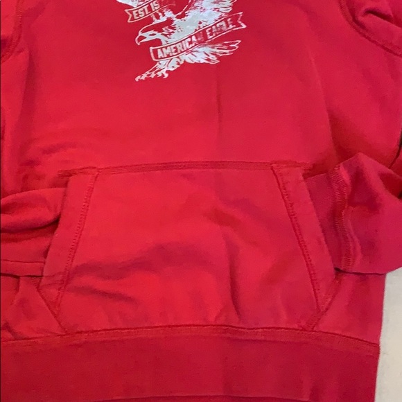 SALE!!! Vintage eagle graphic hoodie. 5 - Picture 5 of 6